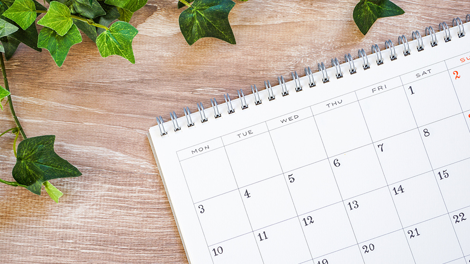 土曜日も休まず診療